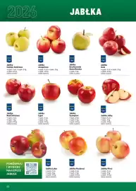 Makro gazetka Strona 42