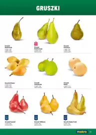 Makro gazetka Strona 43