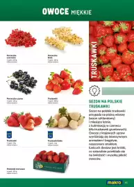 Makro gazetka Strona 45