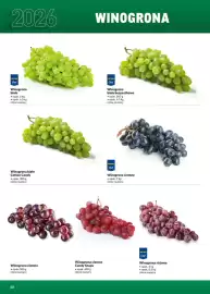 Makro gazetka Strona 48