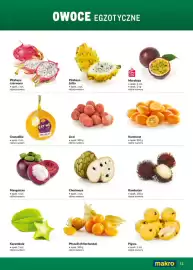 Makro gazetka Strona 51