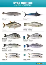 Makro gazetka Strona 67