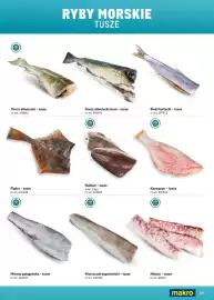 Makro gazetka Strona 69