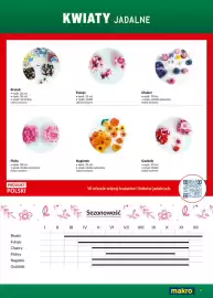 Makro gazetka Strona 7