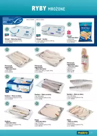 Makro gazetka Strona 77