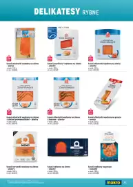 Makro gazetka Strona 85