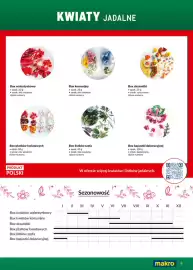 Makro gazetka Strona 9