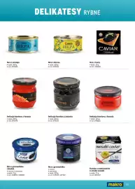 Makro gazetka Strona 93