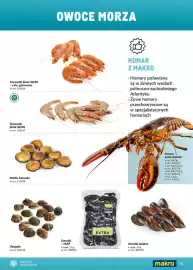 Makro gazetka Strona 95