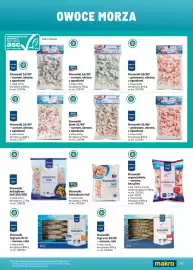 Makro gazetka Strona 97