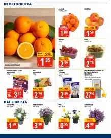 Volantino Tigros Pagina 12