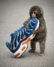 Foot Locker leták Strana 10