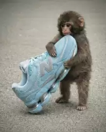 Foot Locker leták Strana 11