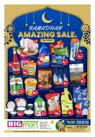 Bigmart leaflet Page 1