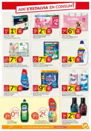 Catálogo Consum Página 21