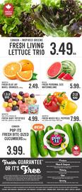 Fresh St Market flyer week 9 Page 4