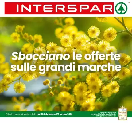 Volantino Interspar (valido fino al 11-03)