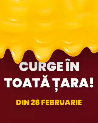 Catalog Mesopotamia (valid până la 4-03)