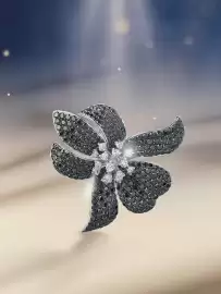 Catalog Teilor Pagină 1