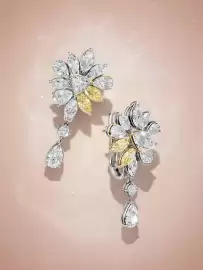 Catalog Teilor Pagină 3