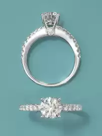 Catalog Teilor Pagină 4