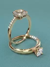 Catalog Teilor Pagină 5