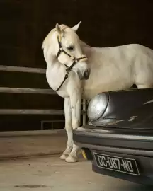 Porsche catalogue week 9 Page 2