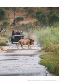 Flight Centre brochure Page 161