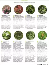 Bunnings catalogue Page 47