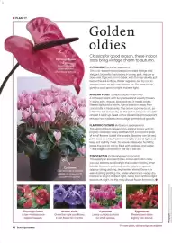 Bunnings catalogue Page 48