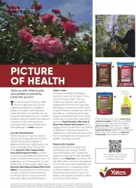 Bunnings catalogue Page 64