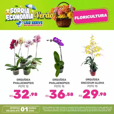 Catálogo Supermercados Jau Serve (válido até 1-03)