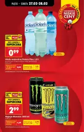 Biedronka gazetka Strona 13