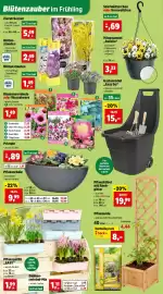 Thomas Philipps Prospekt woche 10 Seite 4