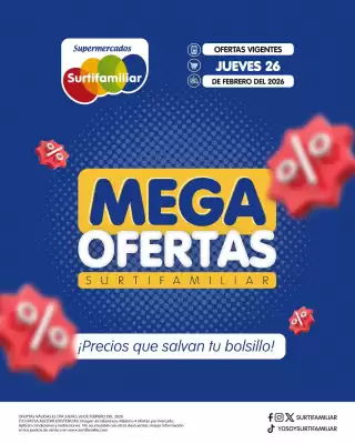 Catálogo Surtifamiliar (válido hasta 26-02)