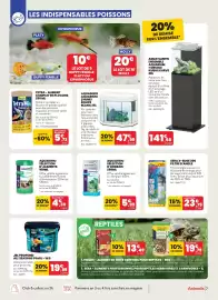 Catalogue Animalis page 7