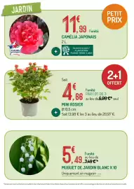 Catalogue Botanic page 2