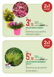 Catalogue Botanic page 3