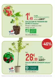 Catalogue Botanic page 4