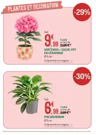 Catalogue Botanic page 8