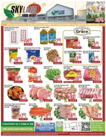 Skyland Foodmart flyer week 9 Page 1