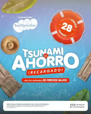Catálogo Surtifamiliar (válido hasta 28-02)