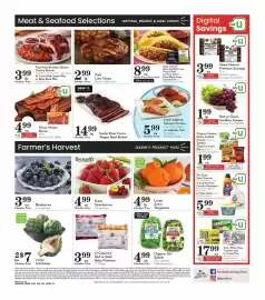 Pavilions weekly ad week 9 Page 4