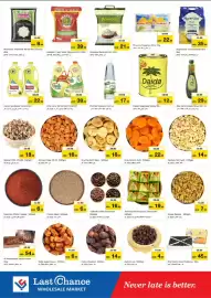 Last Chance flyer Page 5