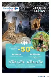 Carrefour folder Pagina 43