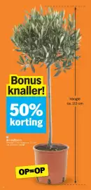 Albert Heijn folder week 10 Pagina 28