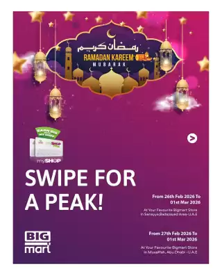 Bigmart leaflet (valid until 1-03)