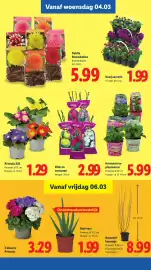Lidl folder week 10 Pagina 24