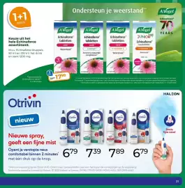 Trekpleister folder Pagina 31