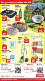 Thomas Philipps Prospekt woche 10 Seite 24